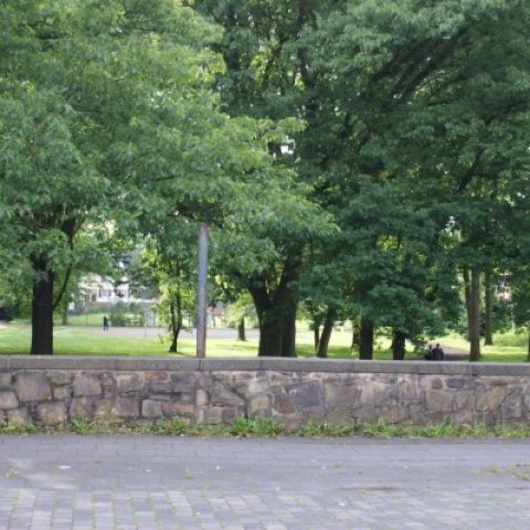 Kolonie_Allg_002
