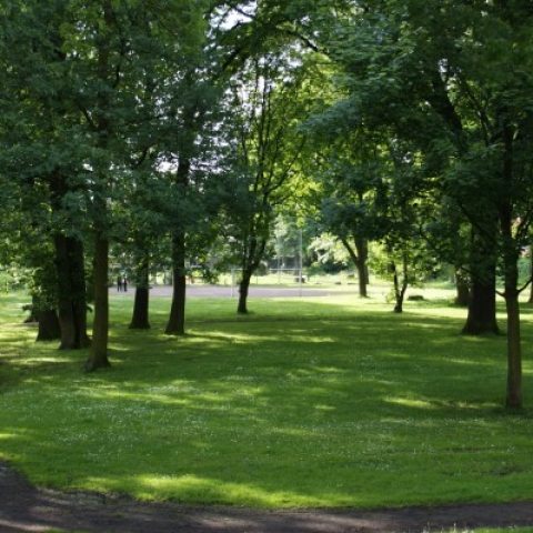 Kolonie_Allg_003