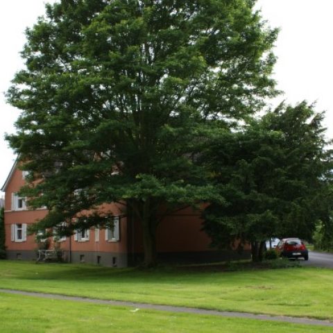 Kolonie_Allg_005